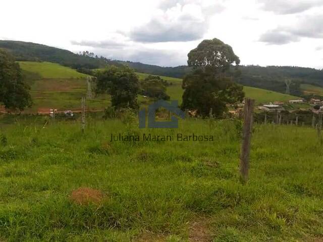 Venda em Laranjeiras - Caldas