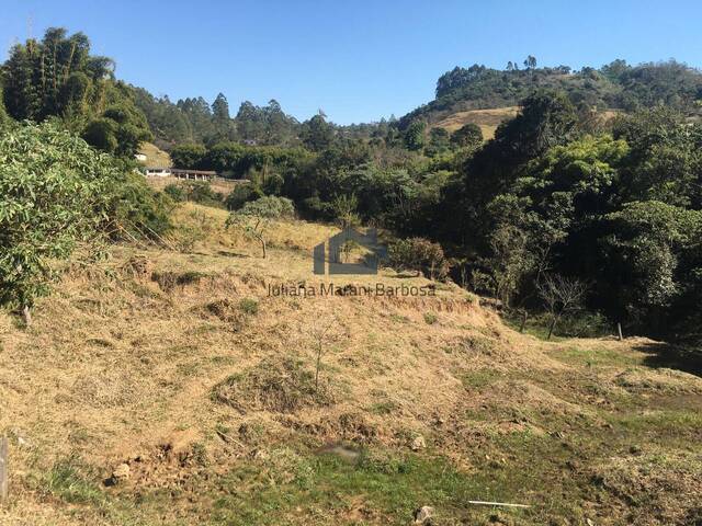 Venda em Laranjeiras - Caldas