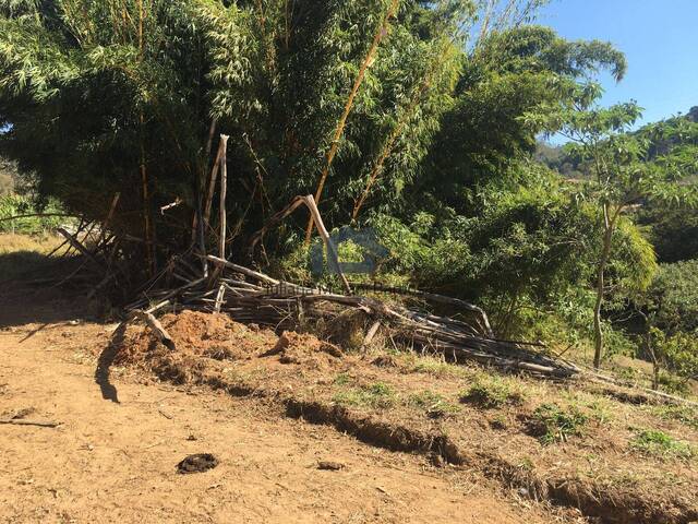 Terreno para Venda em Caldas - 4