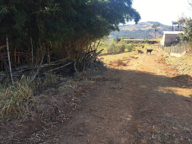 Terreno para Venda em Caldas - 5