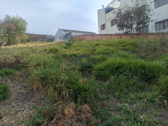 #22 - Terreno para Venda em Poços de Caldas - MG - 3