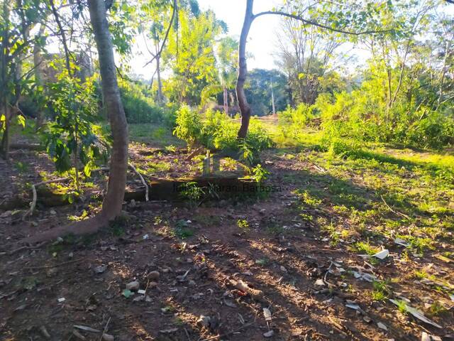 Chácara para Venda em Caldas - 4