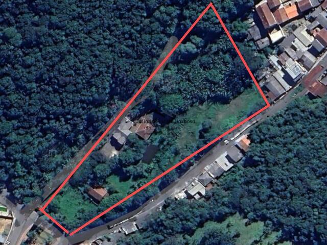 #261 - Chácara para Venda em Poços de Caldas - MG - 1